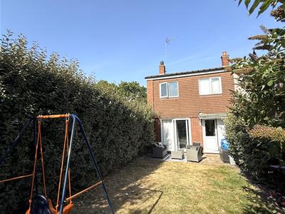 Picture 15